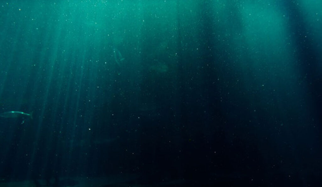 Salmon Fish Farms with Floating Cages salmon fish