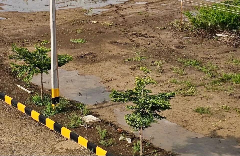 kamkole whatsapp image 2025 10 20 at 1.28.51 pm